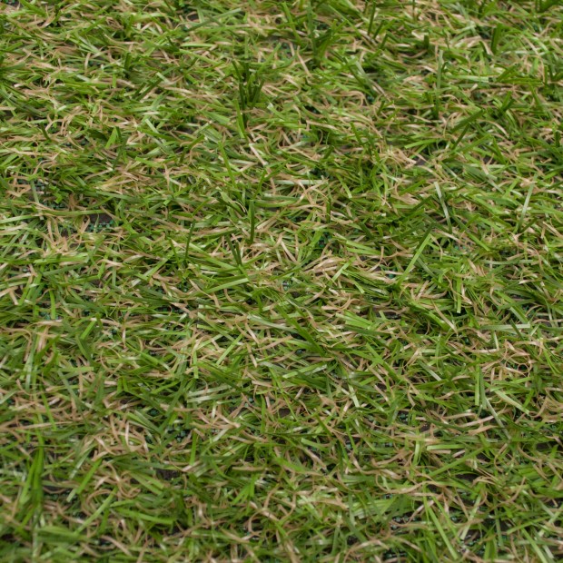 Cambridge 18 Artificial Grass - Close