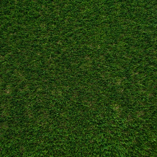 Teasel 38 Artificial Grass