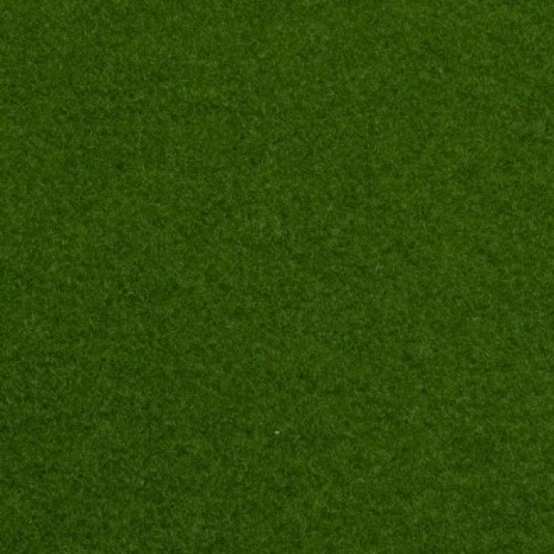 Light Green Outdoor Carpet