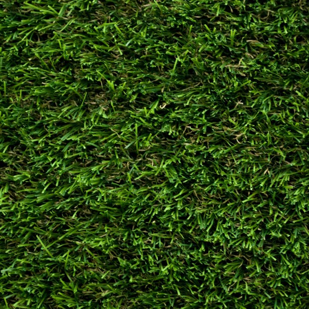 Daisy 40 Artificial Grass