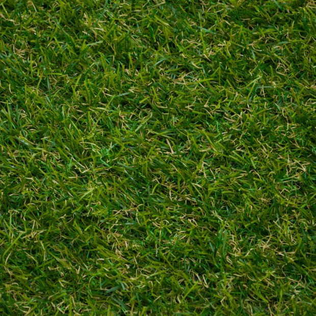 Rose 27 Artificial Grass
