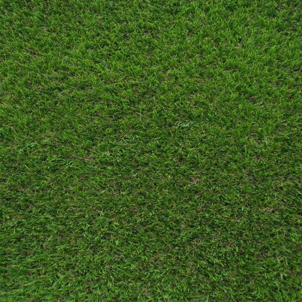 Campion Artificial Grass