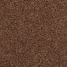 Beige Outdoor Carpet