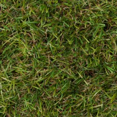 Rotterdam Artificial Grass - Close