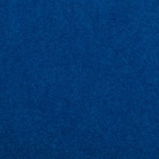 Blue Outdoor Carpet