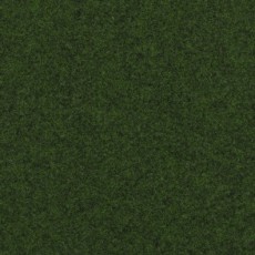 Dark Green Outdoor Carpet