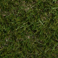 Dublin 36 Artificial Grass