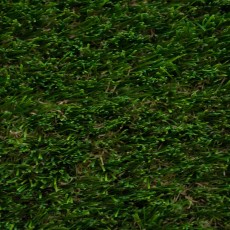 Teasel 38 Artificial Grass