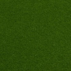 Light Green Outdoor Carpet