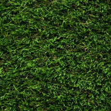 Daisy 40 Artificial Grass