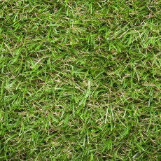 Oxford 26 Artificial Grass - Mid