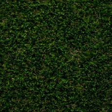Poppy 42 Artificial Grass