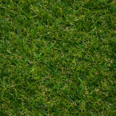 Rose 27 Artificial Grass
