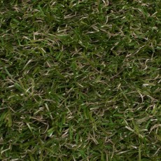 Rome Artificial Grass Zoom
