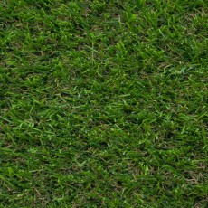 Campion Artificial Grass