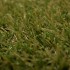 Mauritius Artificial Grass zoom