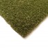 Seychelles Artificial Grass front