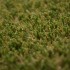 Seychelles Artificial Grass zoom