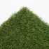 Bramble 32 Artificial Grass