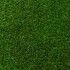 Honeysuckle 40 Artificial Grass