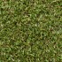 Ascot 15 Artificial Grass - mid