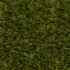 Bahamas 30 Artificial Grass - Close