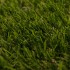 Bahamas 30 Artificial Grass - Zoom