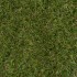 Rotterdam Artificial Grass
