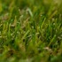 Rotterdam Artificial Grass - Zoom