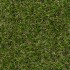 Florence Artificial Grass