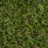 Florence Artificial Grass - Close