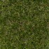 Oslo Artificial Grass