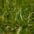 Oslo Artificial Grass - Zoom