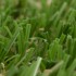 Brussels 28 Artificial Grass Blades