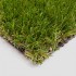 Buckingham Artificial Grass 3D