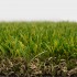Buckingham Artificial Grass Side