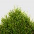 Buckingham Artificial Grass Top