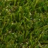 Buckingham Artificial Grass Zoom
