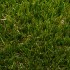 Buckingham Artificial Grass