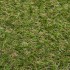 Cambridge 18 Artificial Grass - Close