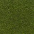 Bloom 40 Artificial Grass
