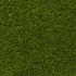 Bloom 40 Artificial Grass