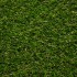 Dandelion 30 Artificial Grass