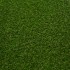 Dandelion 30 Artificial Grass