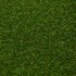 Dandelion 30 Artificial Grass