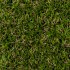 Uxbridge 30 Artificial Grass - Close