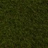 Piccadilly Green Artificial Grass - close