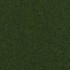 Dark Green Outdoor Carpet