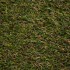 Cotton Grass 50 Artificial Grass
