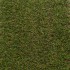 Cotton Grass 50 Artificial Grass